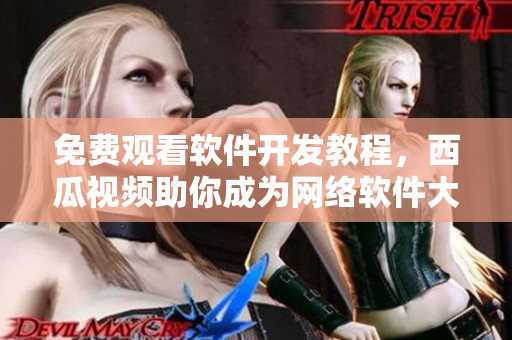 免費(fèi)觀看軟件開發(fā)教程，西瓜視頻助你成為網(wǎng)絡(luò)軟件大牛！