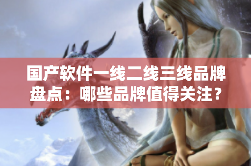 國產軟件一線二線三線品牌盤點：哪些品牌值得關注？