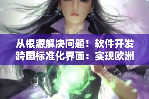 從根源解決問題！軟件開發(fā)跨國標準化界面：實現歐洲、日本、美國尺碼專線！