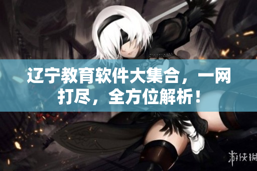 遼寧教育軟件大集合，一網(wǎng)打盡，全方位解析！