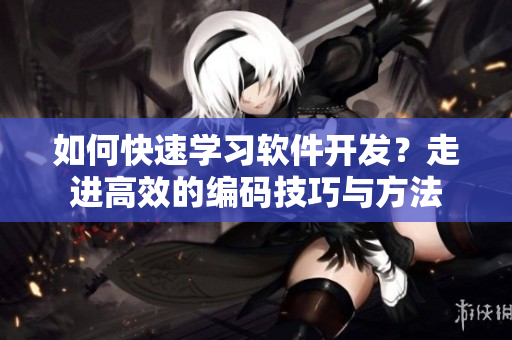 如何快速學(xué)習(xí)軟件開發(fā)？走進(jìn)高效的編碼技巧與方法