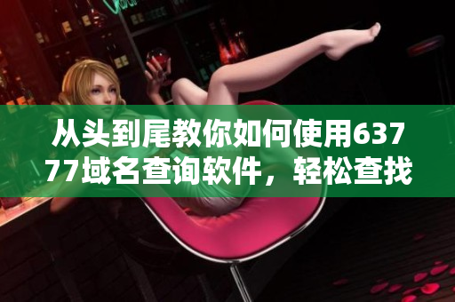從頭到尾教你如何使用63777域名查詢軟件，輕松查找你需要的信息