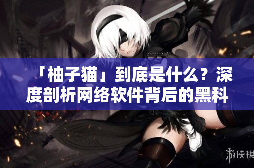 「柚子貓」到底是什么？深度剖析網(wǎng)絡(luò)軟件背后的黑科技！