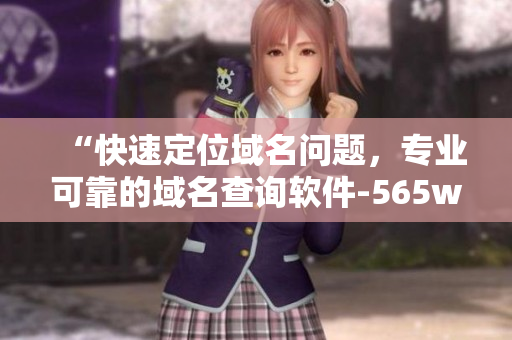 “快速定位域名問題，專業(yè)可靠的域名查詢軟件-565wcc”