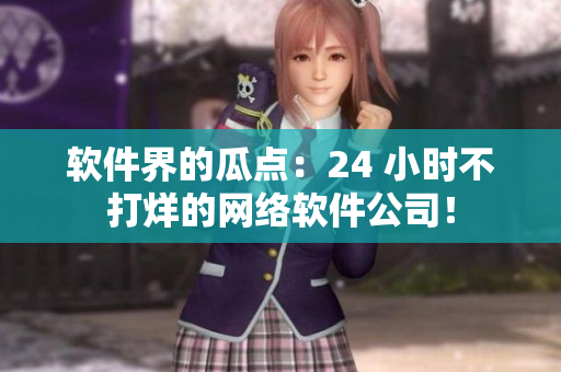 軟件界的瓜點(diǎn)：24 小時(shí)不打烊的網(wǎng)絡(luò)軟件公司！