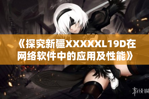 《探究新疆XXXXXL19D在網絡軟件中的應用及性能》