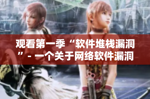 觀看第一季“軟件堆棧漏洞”- 一個關(guān)于網(wǎng)絡(luò)軟件漏洞的在線指南