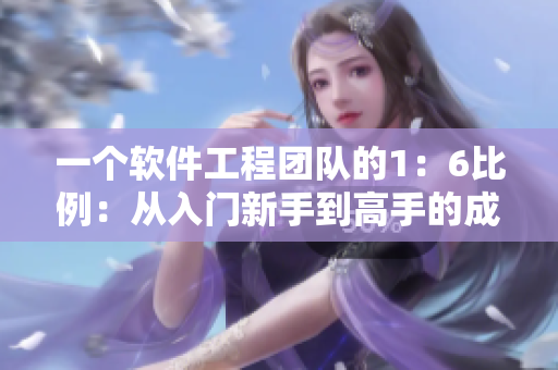 一個軟件工程團(tuán)隊的1：6比例：從入門新手到高手的成長之路
