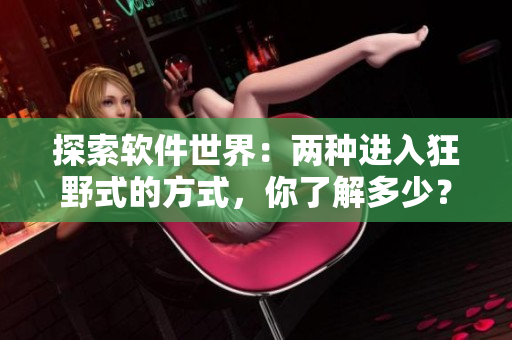 探索軟件世界：兩種進入狂野式的方式，你了解多少？