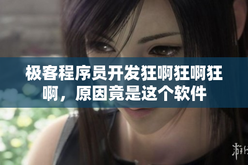 極客程序員開發(fā)狂啊狂啊狂啊，原因竟是這個軟件