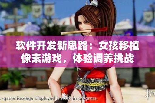 軟件開發(fā)新思路：女孩移植像素游戲，體驗(yàn)調(diào)養(yǎng)挑戰(zhàn)