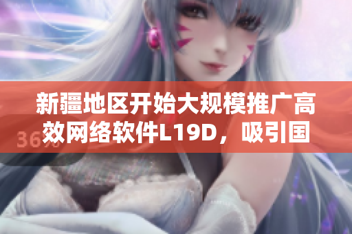 新疆地區(qū)開始大規(guī)模推廣高效網(wǎng)絡(luò)軟件L19D，吸引國(guó)內(nèi)外業(yè)界關(guān)注