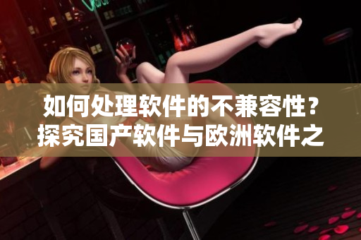 如何處理軟件的不兼容性？探究國產(chǎn)軟件與歐洲軟件之間的差異與解決方法