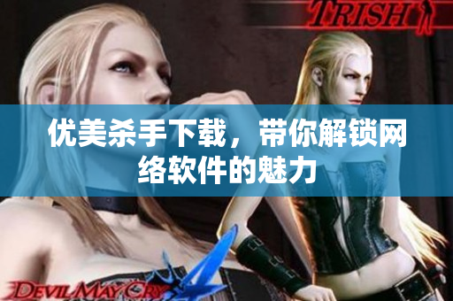 優(yōu)美殺手下載，帶你解鎖網(wǎng)絡(luò)軟件的魅力
