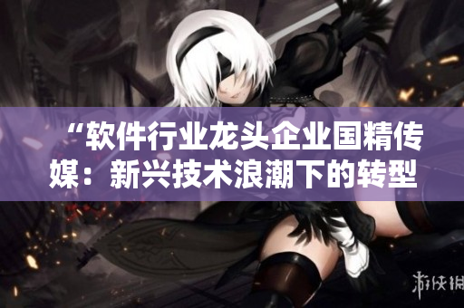 “軟件行業(yè)龍頭企業(yè)國(guó)精傳媒：新興技術(shù)浪潮下的轉(zhuǎn)型與升級(jí)”
