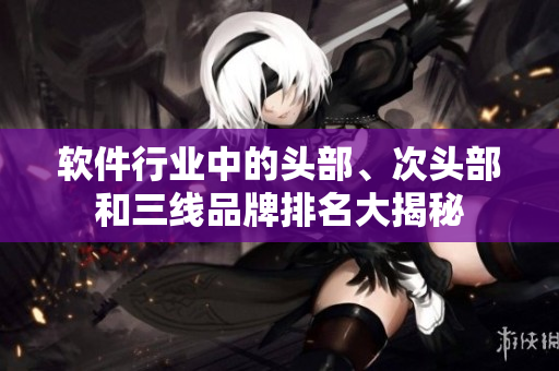 軟件行業(yè)中的頭部、次頭部和三線品牌排名大揭秘