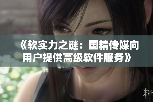 《軟實力之謎：國精傳媒向用戶提供高級軟件服務》