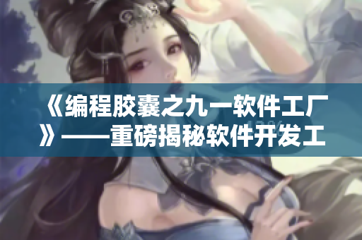 《編程膠囊之九一軟件工廠》——重磅揭秘軟件開發(fā)工廠日常！