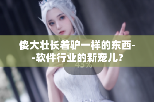 傻大壯長(zhǎng)著驢一樣的東西--軟件行業(yè)的新寵兒？