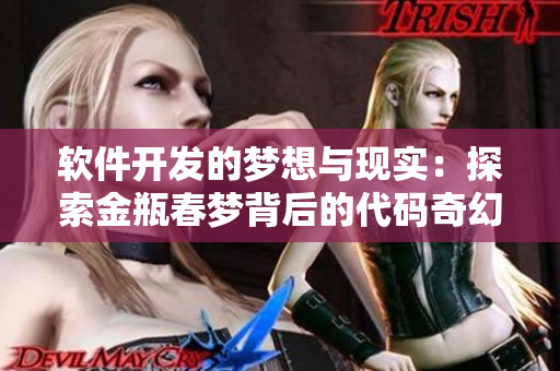 軟件開發(fā)的夢想與現(xiàn)實(shí)：探索金瓶春夢背后的代碼奇幻