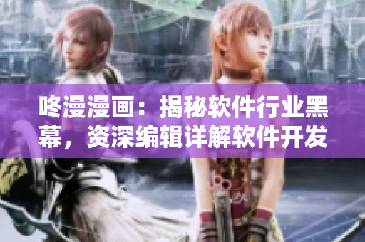 咚漫漫畫：揭秘軟件行業(yè)黑幕，資深編輯詳解軟件開發(fā)攻略！
