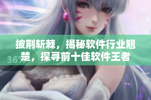 披荊斬棘，揭秘軟件行業(yè)翹楚，探尋前十佳軟件王者