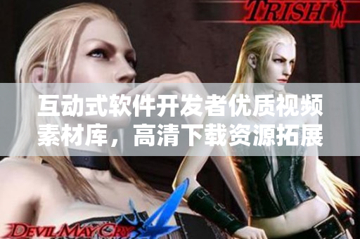 互動式軟件開發(fā)者優(yōu)質(zhì)視頻素材庫，高清下載資源拓展技術(shù)創(chuàng)作靈感