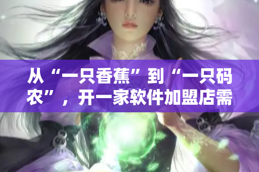 從“一只香蕉”到“一只碼農(nóng)”，開一家軟件加盟店需要花費多少？