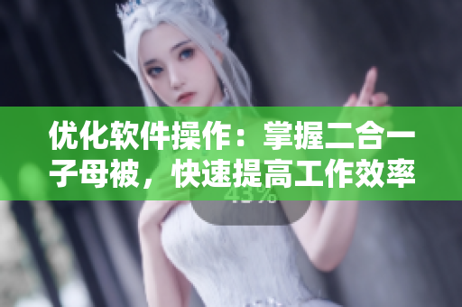 優(yōu)化軟件操作：掌握二合一子母被，快速提高工作效率