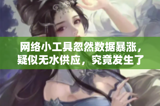 網(wǎng)絡(luò)小工具忽然數(shù)據(jù)暴漲，疑似無(wú)水供應(yīng)，究竟發(fā)生了什么？