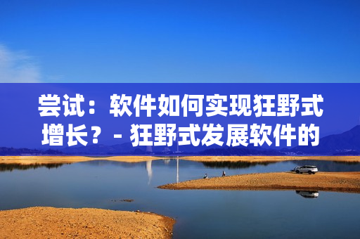 嘗試：軟件如何實(shí)現(xiàn)狂野式增長(zhǎng)？- 狂野式發(fā)展軟件的妙招