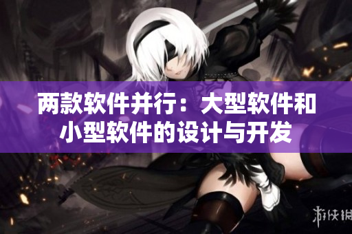 兩款軟件并行：大型軟件和小型軟件的設(shè)計與開發(fā)
