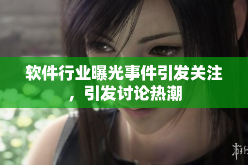 軟件行業(yè)曝光事件引發(fā)關(guān)注，引發(fā)討論熱潮
