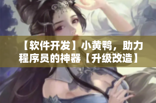 【軟件開發(fā)】小黃鴨，助力程序員的神器【升級改造】