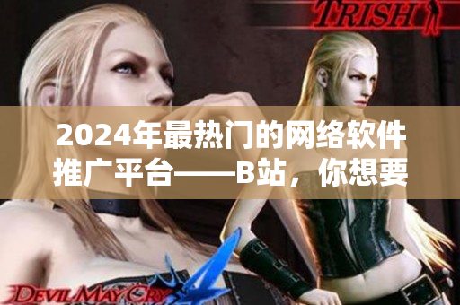 2024年最熱門的網(wǎng)絡(luò)軟件推廣平臺(tái)——B站，你想要了解的都在這里！