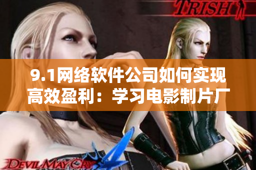 9.1網(wǎng)絡(luò)軟件公司如何實現(xiàn)高效盈利：學(xué)習(xí)電影制片廠的票房制勝策略