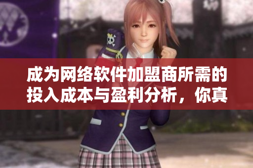 成為網(wǎng)絡(luò)軟件加盟商所需的投入成本與盈利分析，你真的了解嗎？