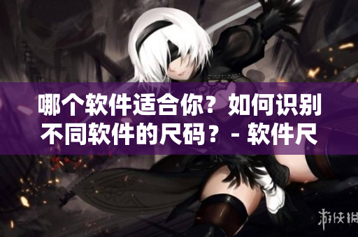 哪個(gè)軟件適合你？如何識(shí)別不同軟件的尺碼？- 軟件尺碼比較指南