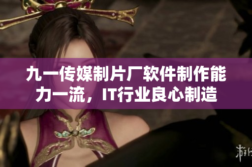 九一傳媒制片廠軟件制作能力一流，IT行業(yè)良心制造