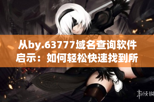 從by.63777域名查詢(xún)軟件啟示：如何輕松快速找到所需資源