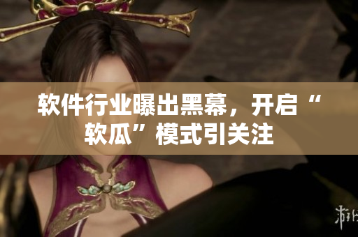 軟件行業(yè)曝出黑幕，開(kāi)啟“軟瓜”模式引關(guān)注
