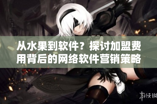 從水果到軟件？探討加盟費(fèi)用背后的網(wǎng)絡(luò)軟件營銷策略