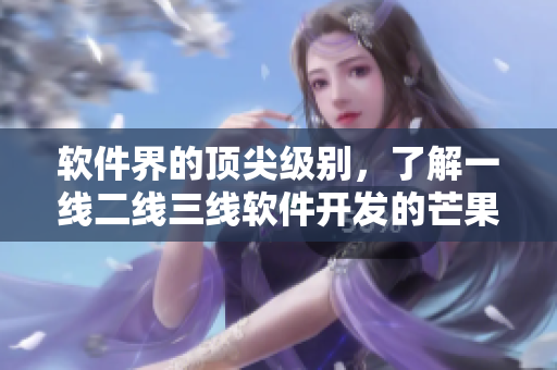 軟件界的頂尖級(jí)別，了解一線二線三線軟件開發(fā)的芒果指南