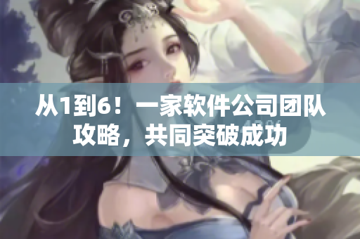從1到6！一家軟件公司團(tuán)隊(duì)攻略，共同突破成功