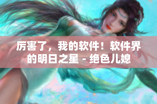 厲害了，我的軟件！軟件界的明日之星－絕色兒媳