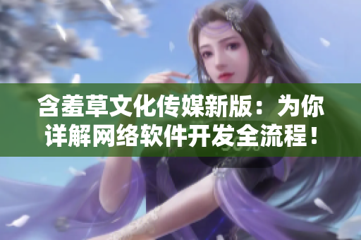 含羞草文化傳媒新版：為你詳解網(wǎng)絡(luò)軟件開發(fā)全流程！