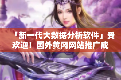 「新一代大數(shù)據(jù)分析軟件」受歡迎！國(guó)外黃岡網(wǎng)站推廣成功之秘密