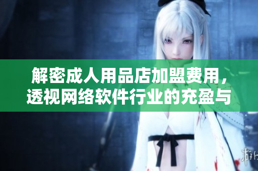 解密成人用品店加盟費(fèi)用，透視網(wǎng)絡(luò)軟件行業(yè)的充盈與困境