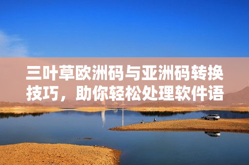 三葉草歐洲碼與亞洲碼轉(zhuǎn)換技巧，助你輕松處理軟件語言編碼