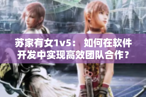 蘇家有女1v5： 如何在軟件開發(fā)中實現(xiàn)高效團隊合作？